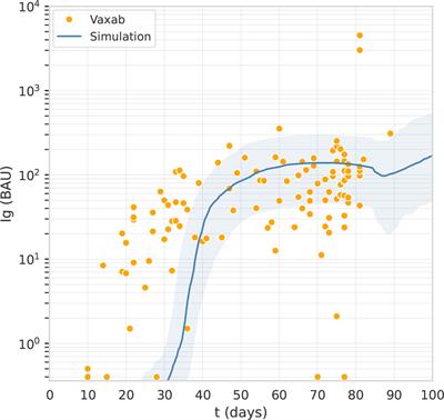 In-silico evaluation of adenoviral COVID-19 vaccination protocols: Assessment of immunological memory up to 6 months after the third dose